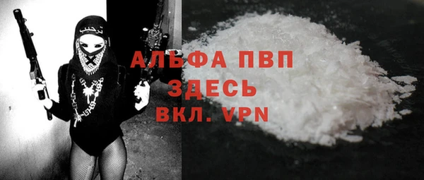 прущие грибы Пролетарск