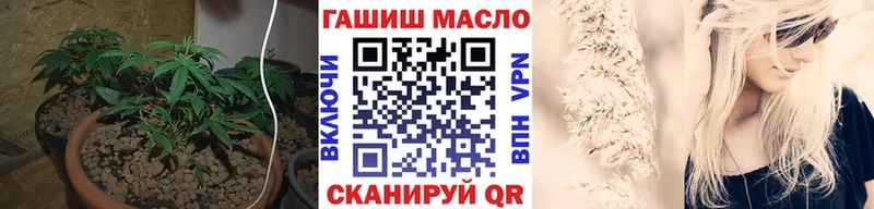 omg ONION  Липки  Дистиллят ТГК вейп 